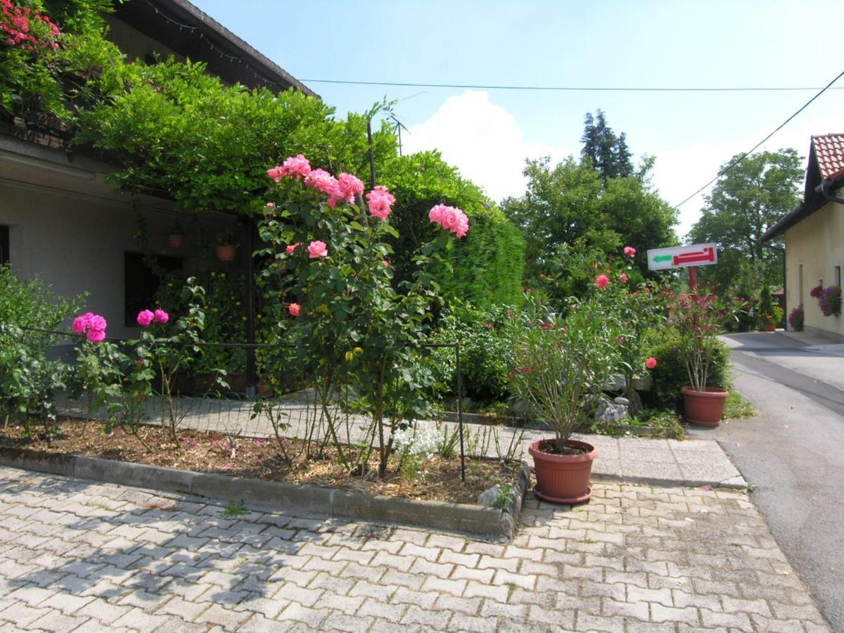 Guest House Ana.K Postojna Exteriér fotografie